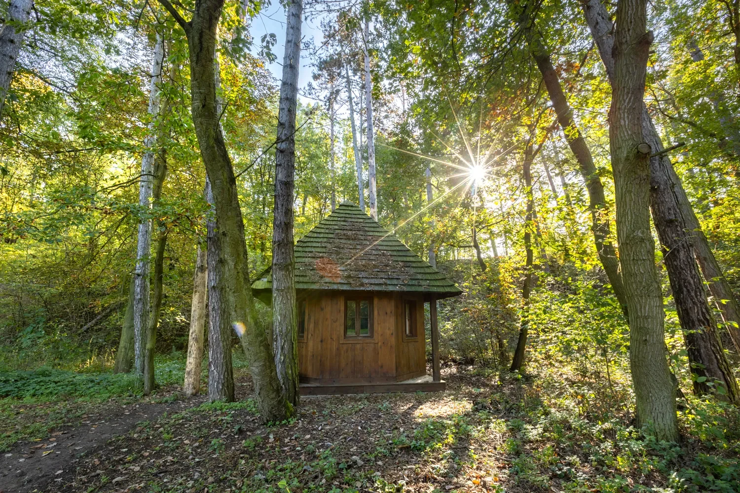 Property photo 6