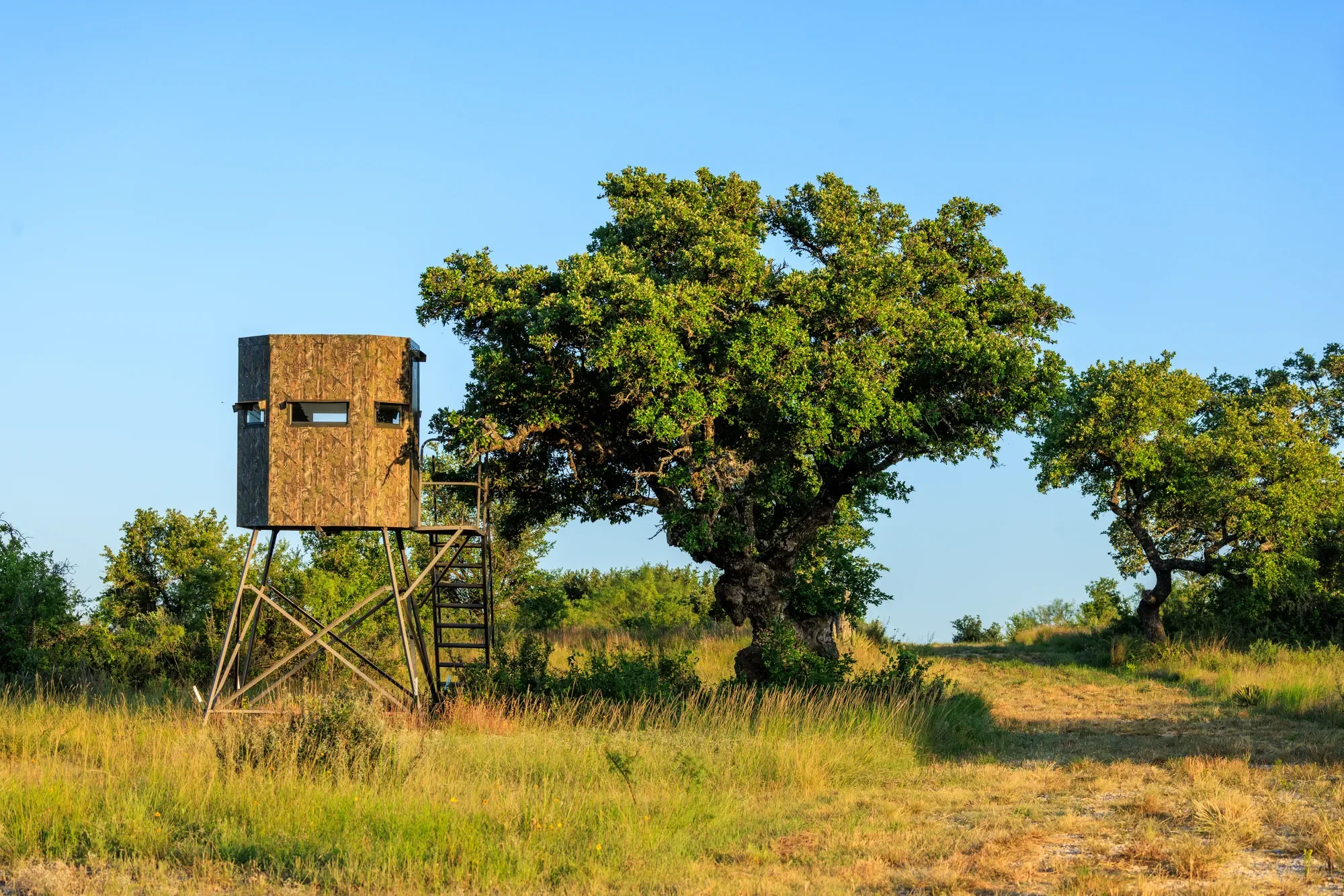 Brady Creek Ranch CR 3388, Melvin, TX 76858, Melvin, Texas, United States. - Photo 55