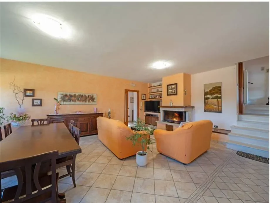 Gallery photo 5