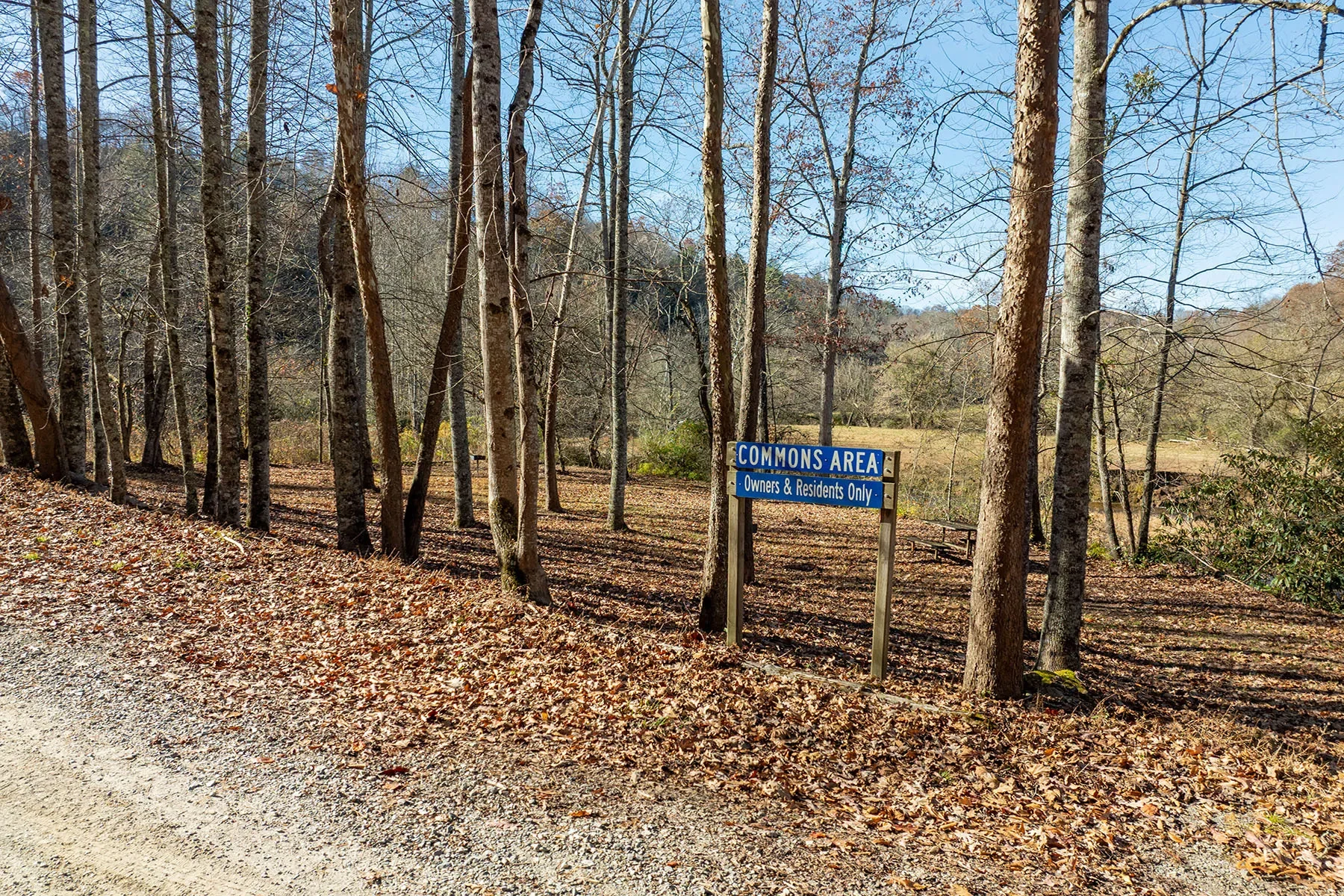 85 Brown Lane, Marble, NC 28905, Marble, North Carolina, United States. - Photo 8