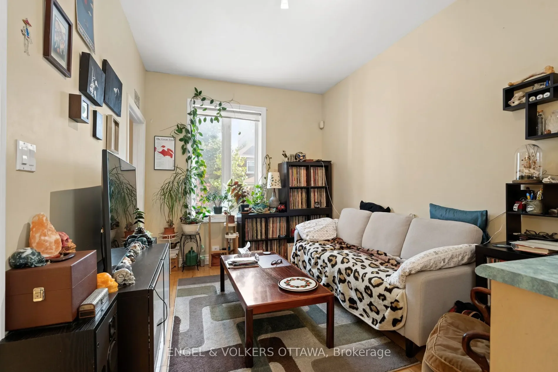 Gallery photo 2