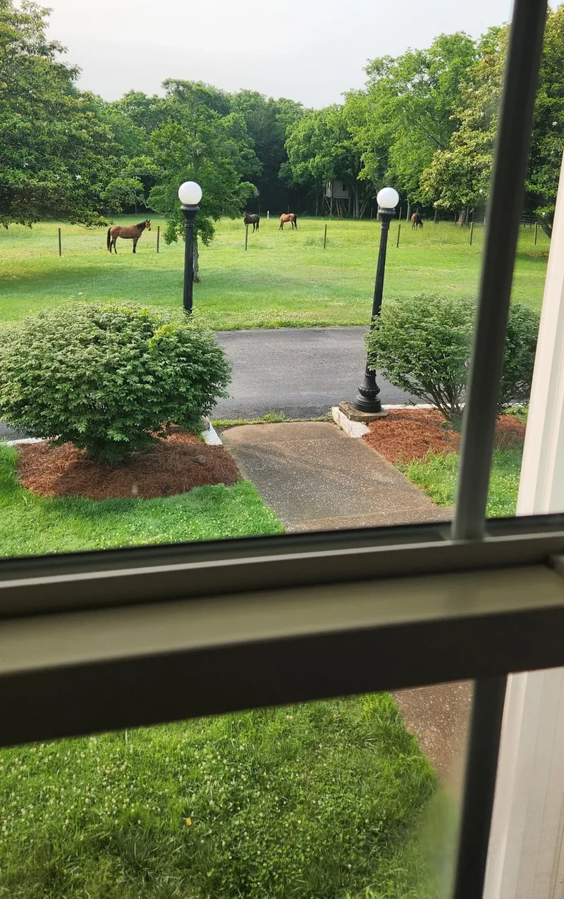 545 Puryears Bend Rd, 37074, Tennessee, United States. - Photo 48