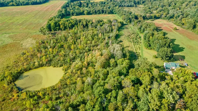 4700 Stanley Road, Columbiaville, MI, 48421, USA, Columbiaville, Michigan, United States. - Photo 47