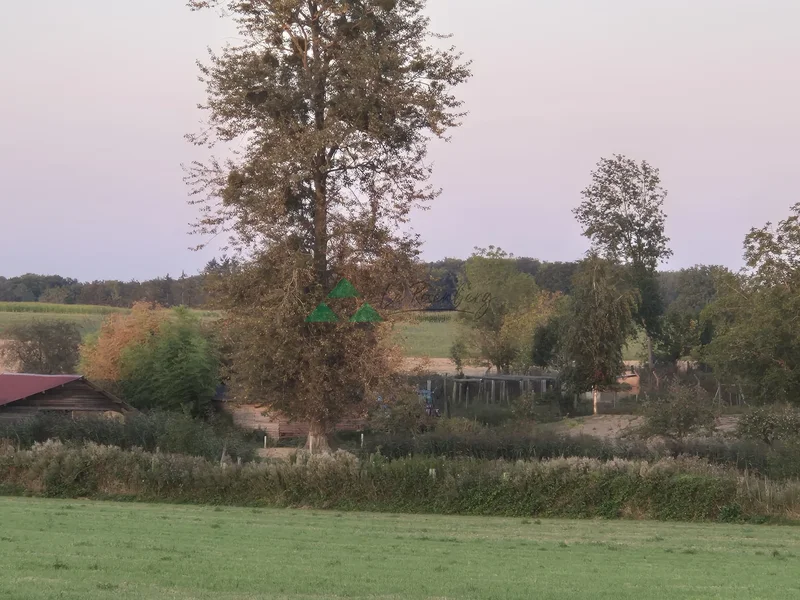 Agricultural Land with Shed