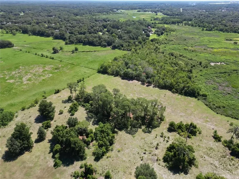 8315 Tom Costine Road, Lakeland, FL 33809, Lakeland, Florida, United States. - Photo 45