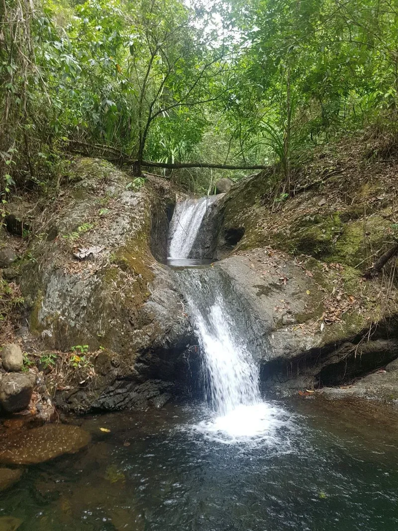 Featuring a Stunning Waterfall and Abundant Fruit Trees for glamping and ecotourism