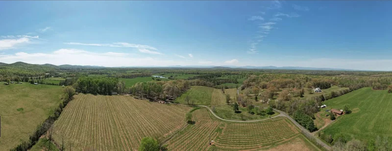 4500 Winery Ln, Barboursville, VA 22923, Barboursville, Virginia, United States. - Photo 3
