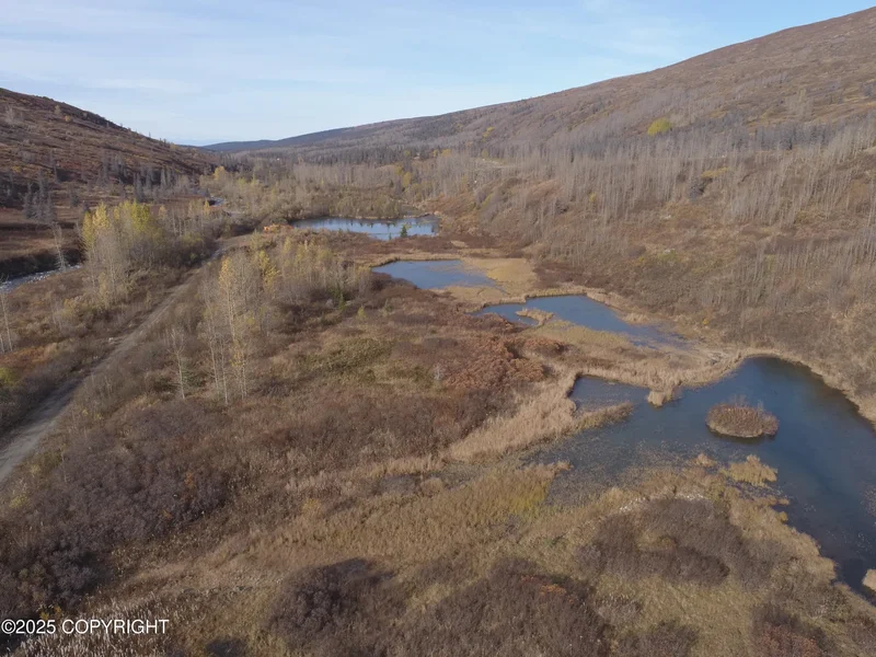 Mile 18 Willow-Fishhook Road, Willow, AK 99688, Willow, Alaska, United States. - Photo 66