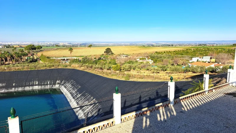Sevilla, Mairena del Alcor, SEVILLA, Mairena del Alcor, Mairena del Alcor, Andalusia, Spain. - Photo 37