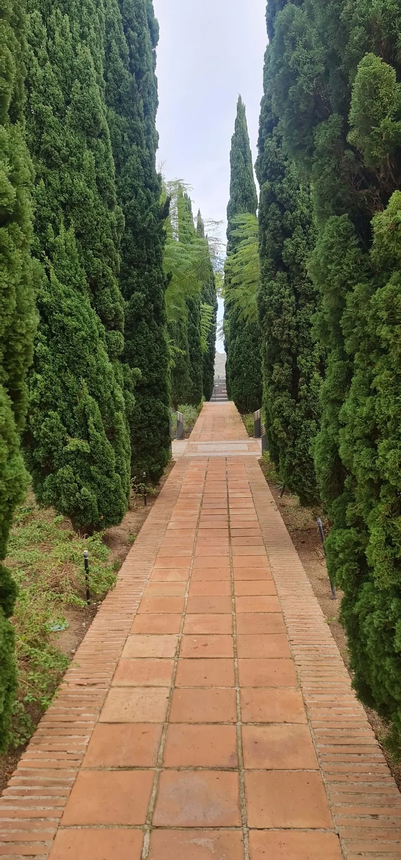 Mijas, Andalusia, Mijas, Andalusia, Spain. - Photo 40