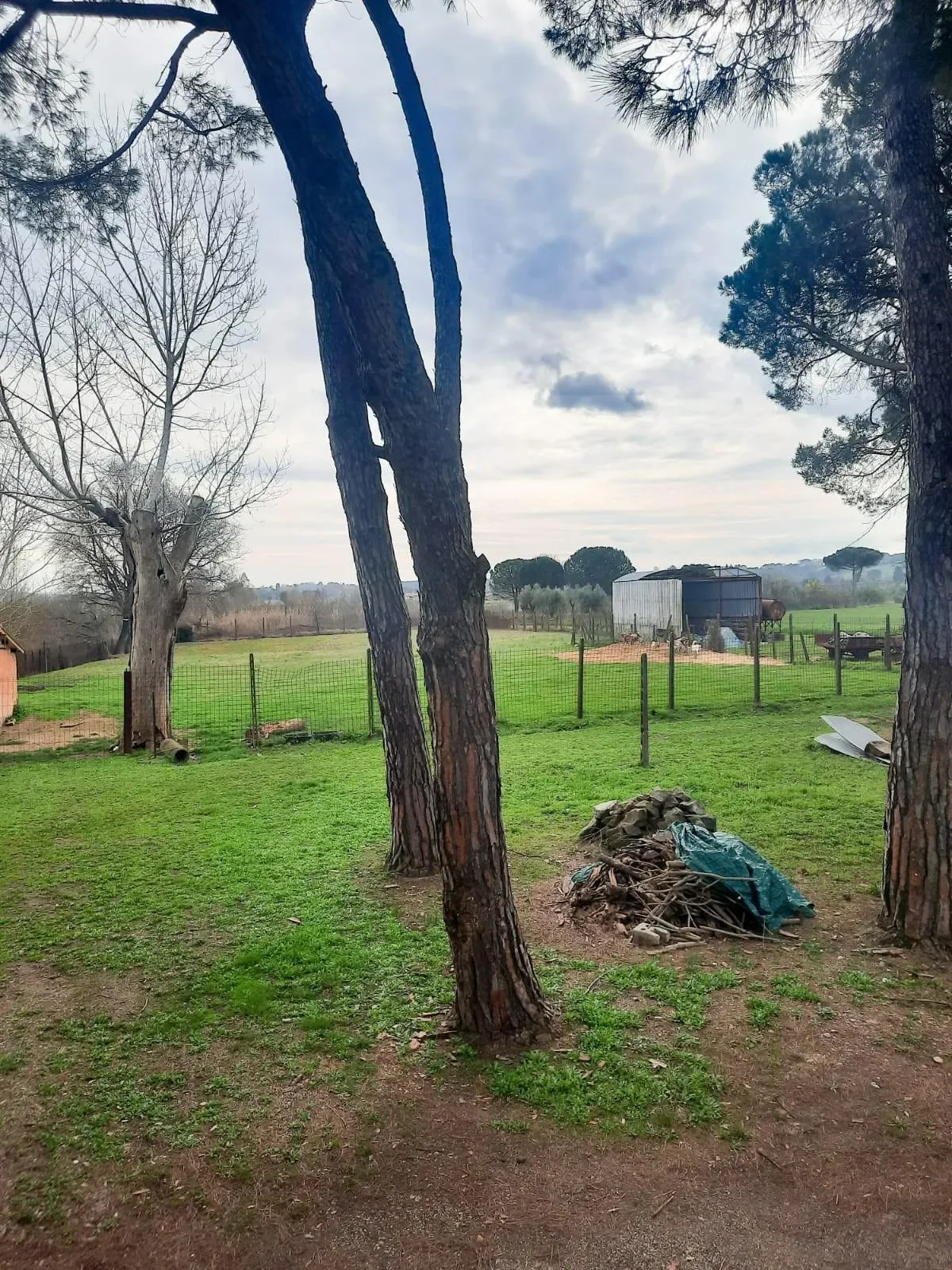 Perignano, Tuscany, Italy. - Photo 13