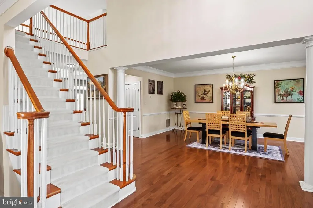 Gallery photo 4