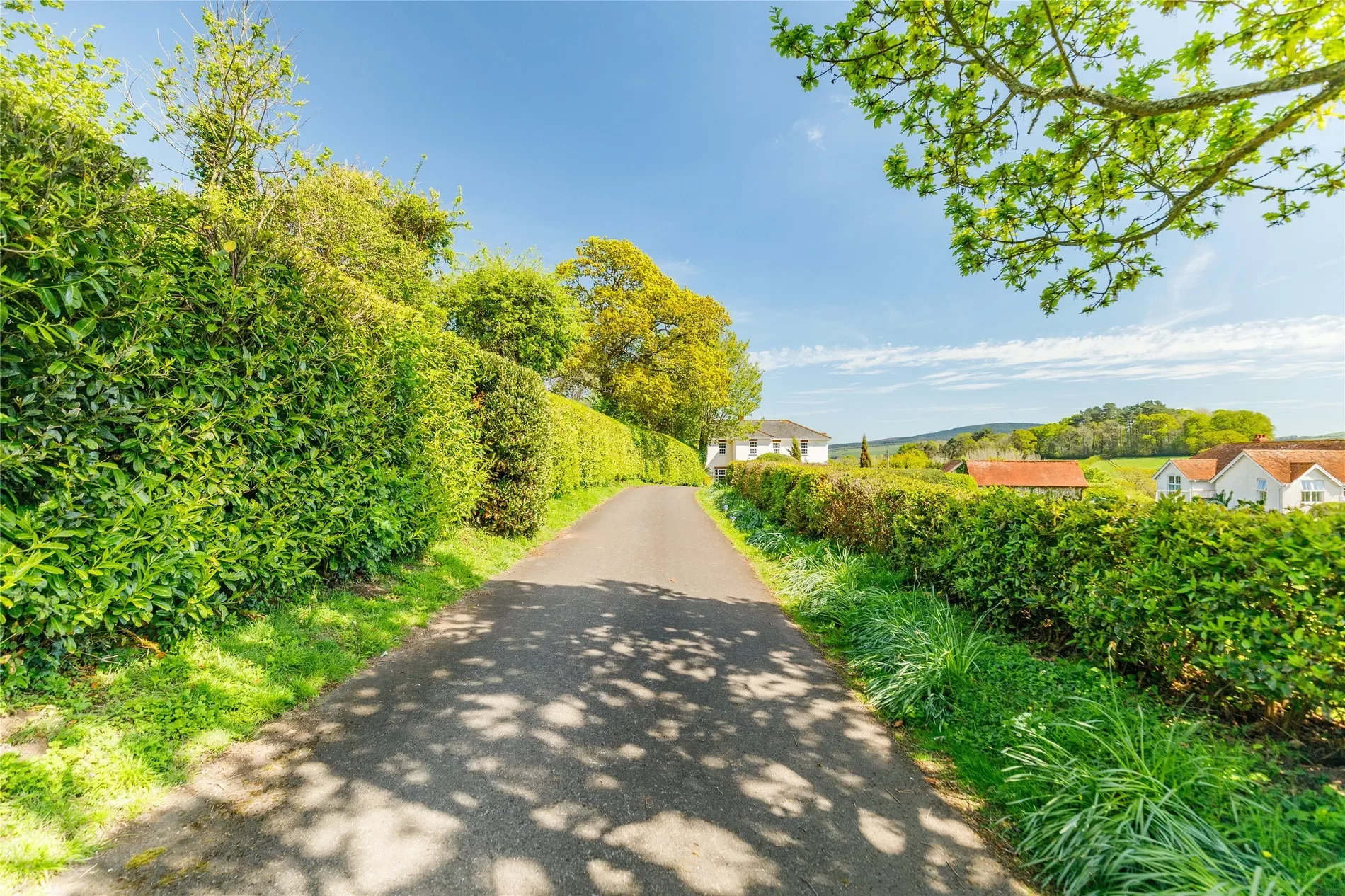 Wootton Courtenay, Minehead, Wootton Courtenay, England, United Kingdom. - Photo 12