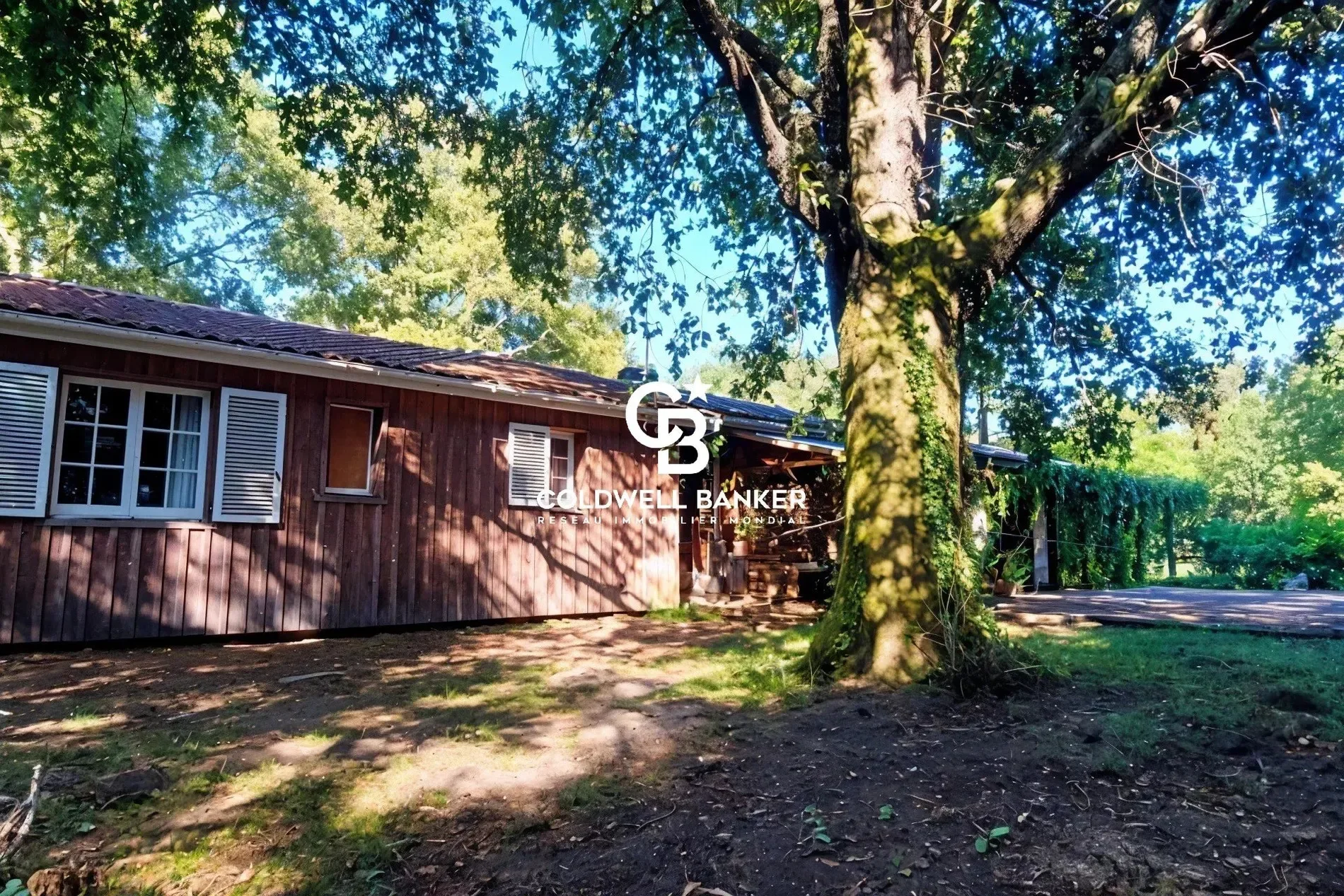 Exterior photo 6