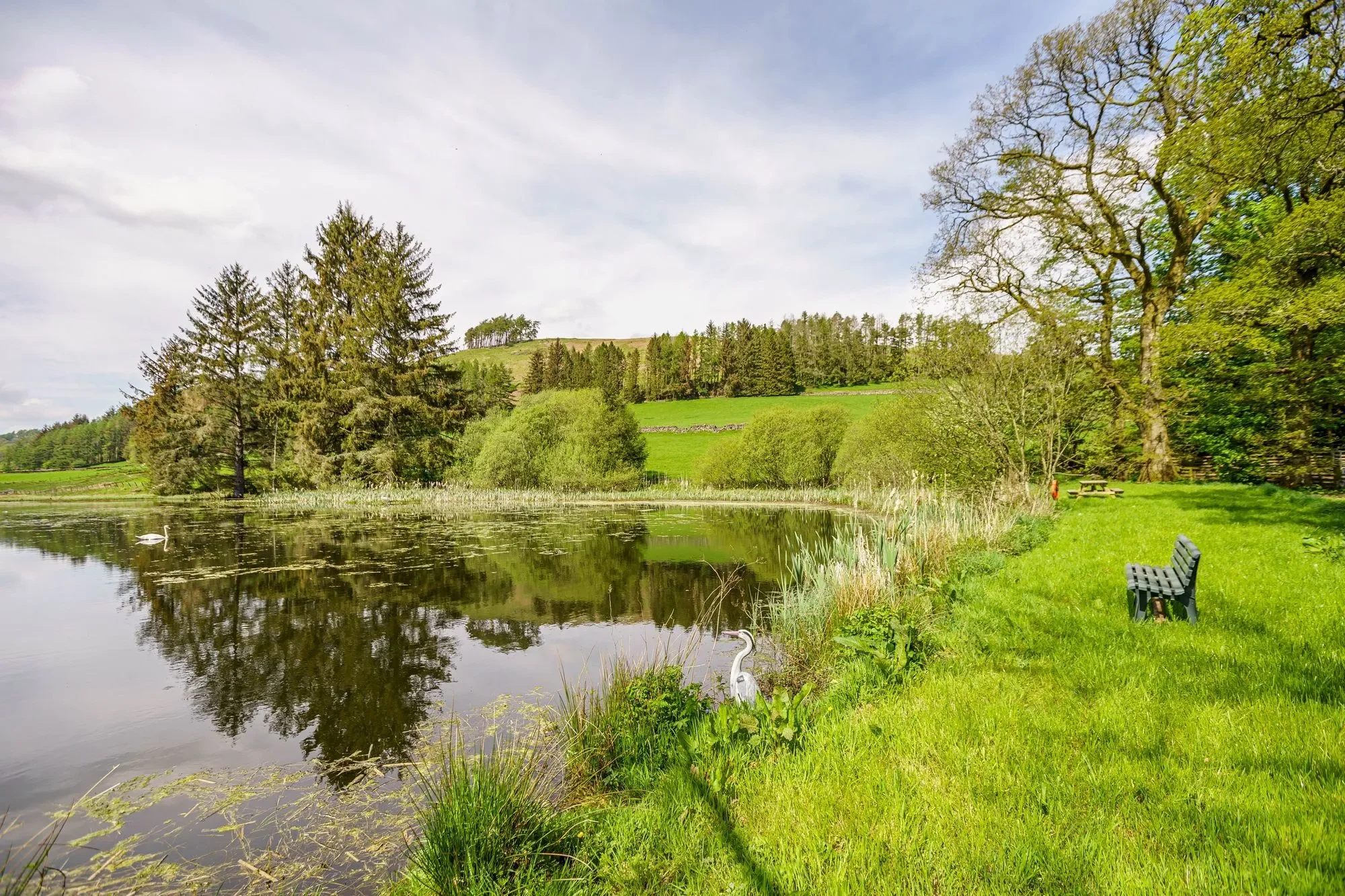 Moniaive, Thornhill, Thornhill, Scotland, United Kingdom. - Photo 10