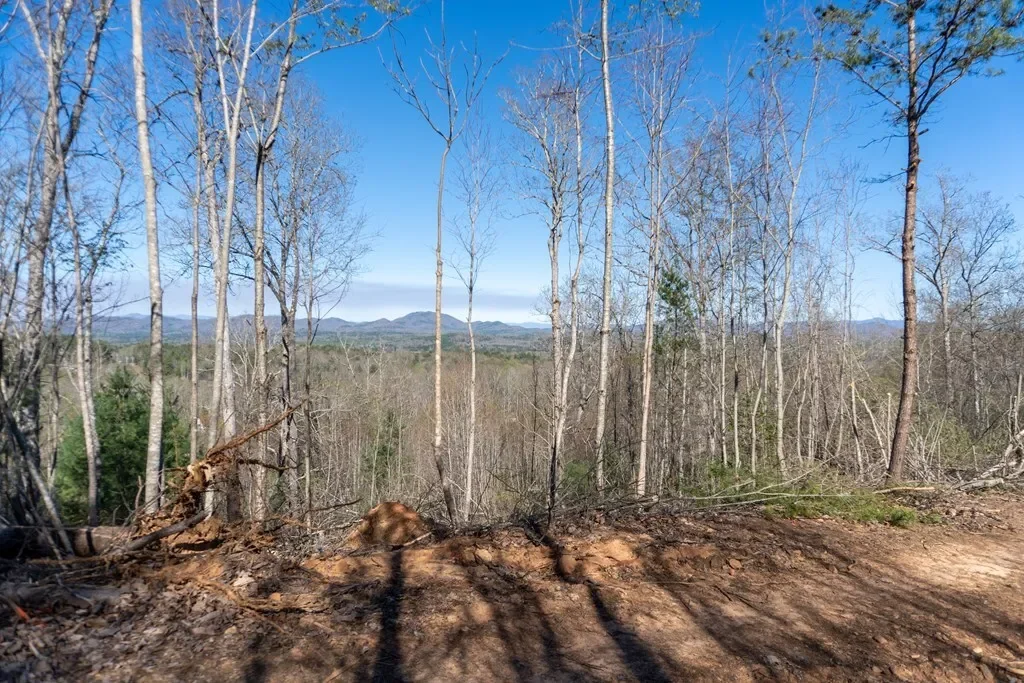 41AC Loving Road, Blairsville, Georgia, United States. - Photo 12