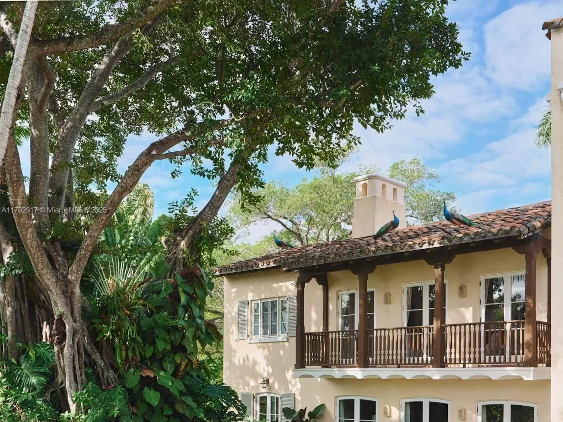 Gallery photo 11