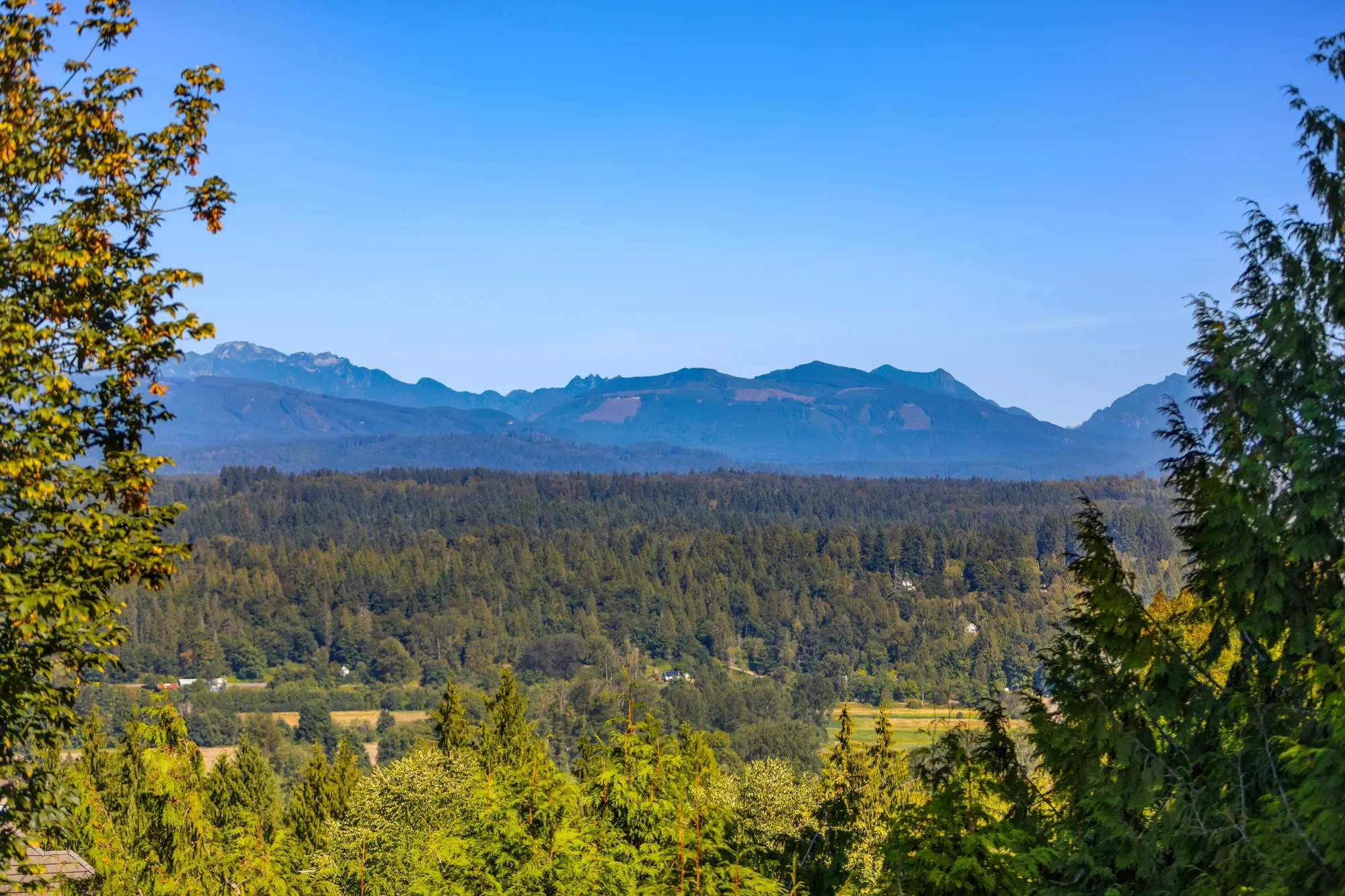 12438 243rd Place NE , Redmond, WA 98053, Carnation, Washington, United States. - Photo 24