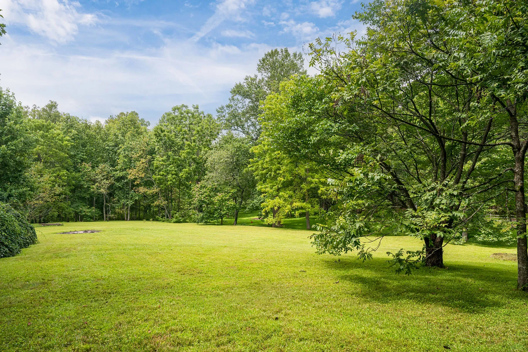 147 Dye Leaf Road, Fairview, NC 28730, Fairview, North Carolina, United States. - Photo 37