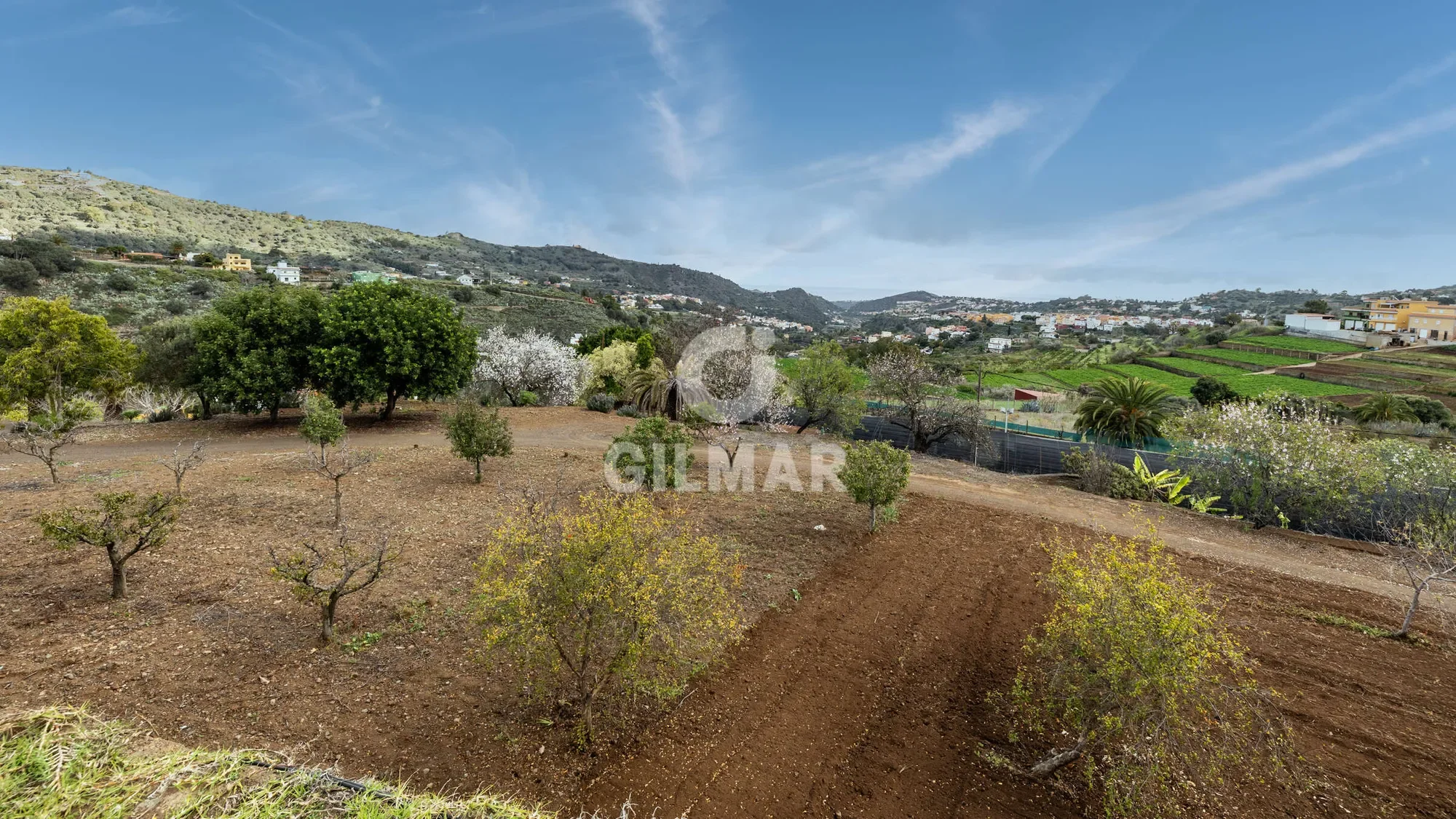 SANTA BRÍGIDA, Las Palmas, SANTA BRÍGIDA, Santa Brigida, Canary Islands, Spain. - Photo 18