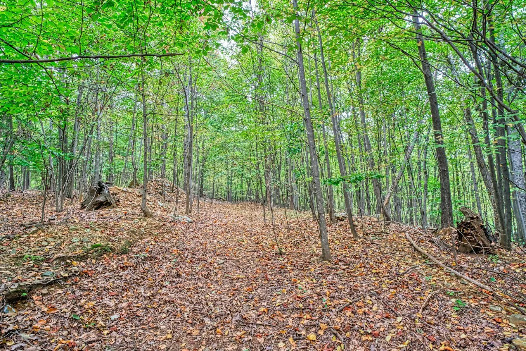 37740 Long Lane, Lovettsville, VA 20180, Lovettsville, Virginia, United States. - Photo 44