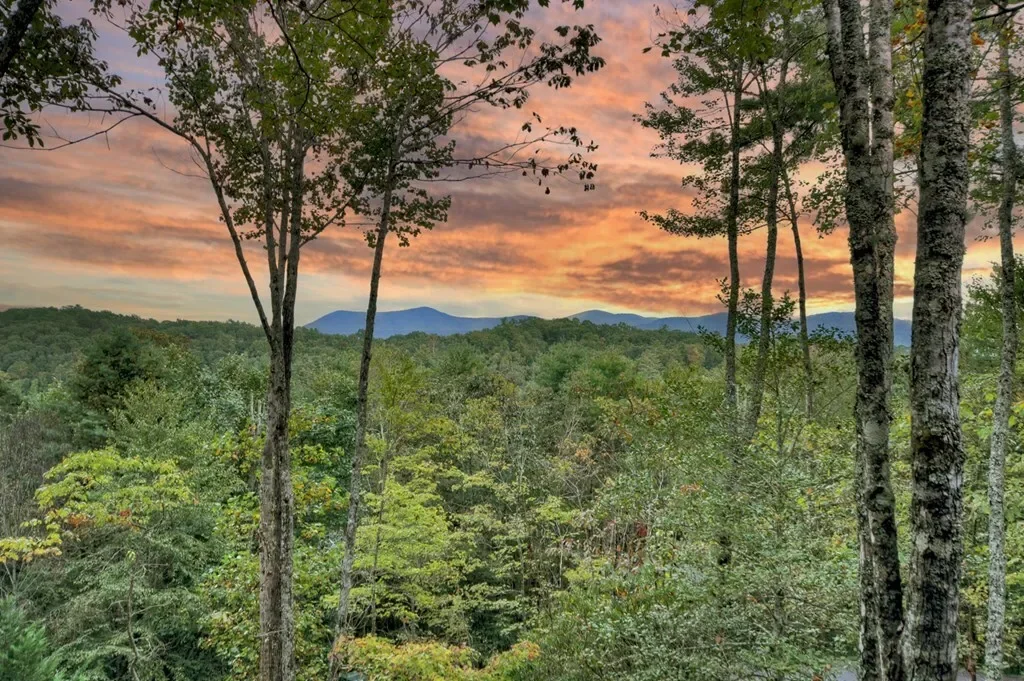 99 Dustin Drive S, Ellijay, Georgia, United States. - Photo 5