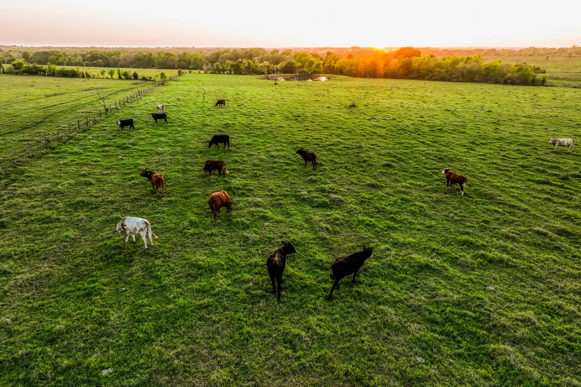 20751 Fm 1155 E , Washington, TX 77880, Washington, Texas, United States. - Photo 29