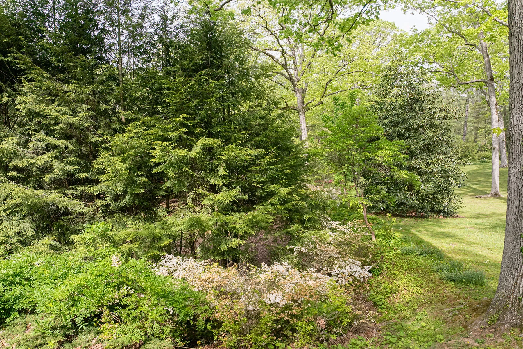 407 Vanderbilt Road, Asheville, NC 28803, Asheville, North Carolina, United States. - Photo 37