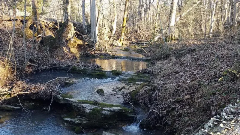 4114 Lower East Valley Rd, Dunlap, TN 37327, Dunlap, Tennessee, United States. - Photo 89