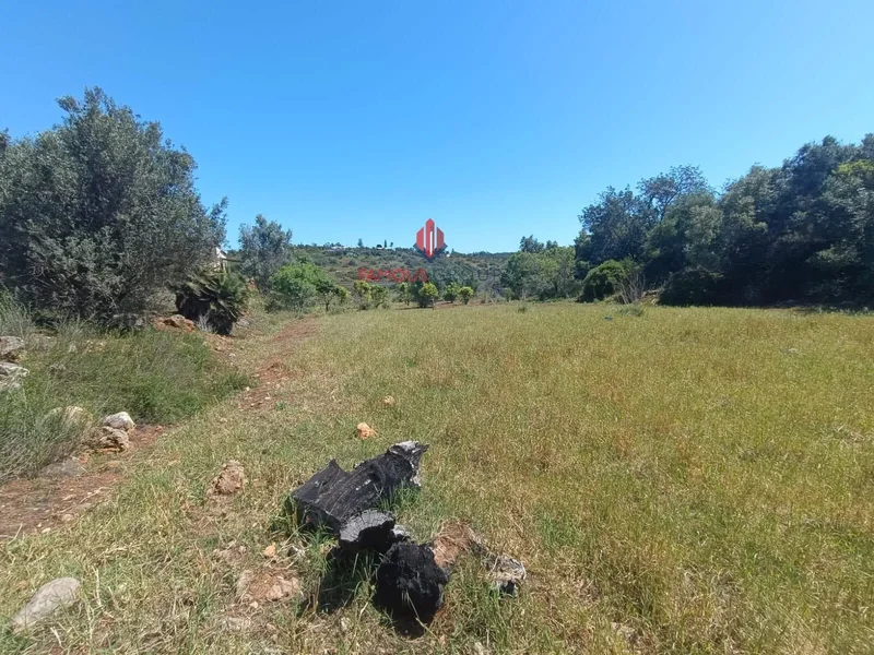9 Hectare Farmhouse Next To The River Arade – Excellent Investment