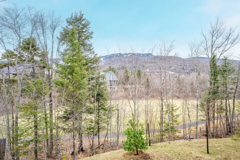2020 Allée du Val-de-Bagnes 101, Mont-Tremblant, Quebec, Canada. - Photo 29