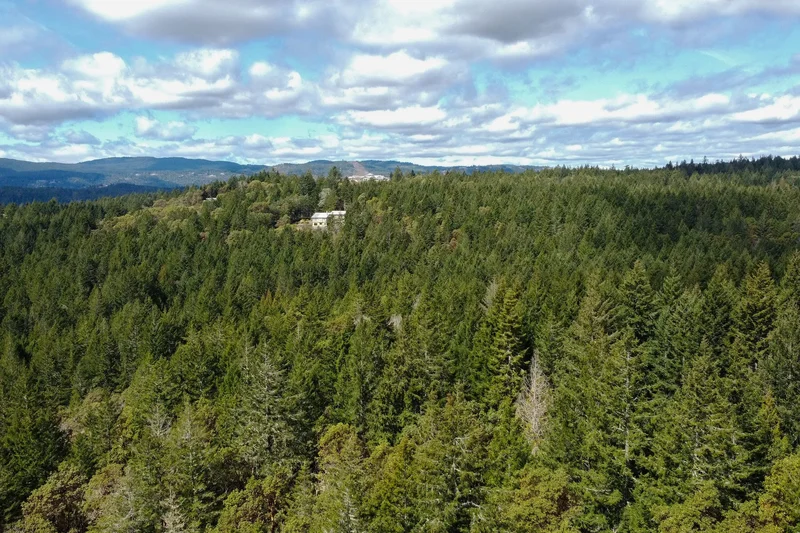 3975 Munn Road, Highlands, BC V9E 1C8, Victoria, British Columbia, Canada. - Photo 12