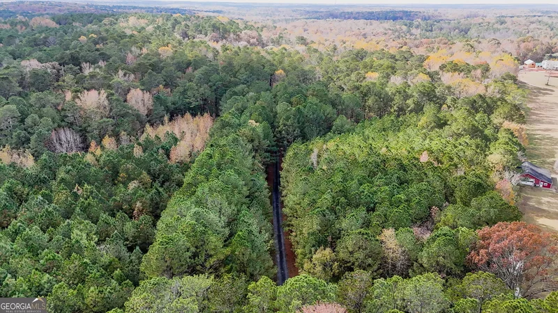 Palmetto, Georgia, United States. - Photo 88