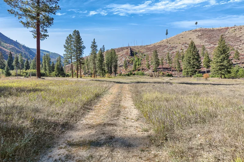 162 Medicine Springs Road, Conner, MT 59827, Conner, Montana, United States. - Photo 30
