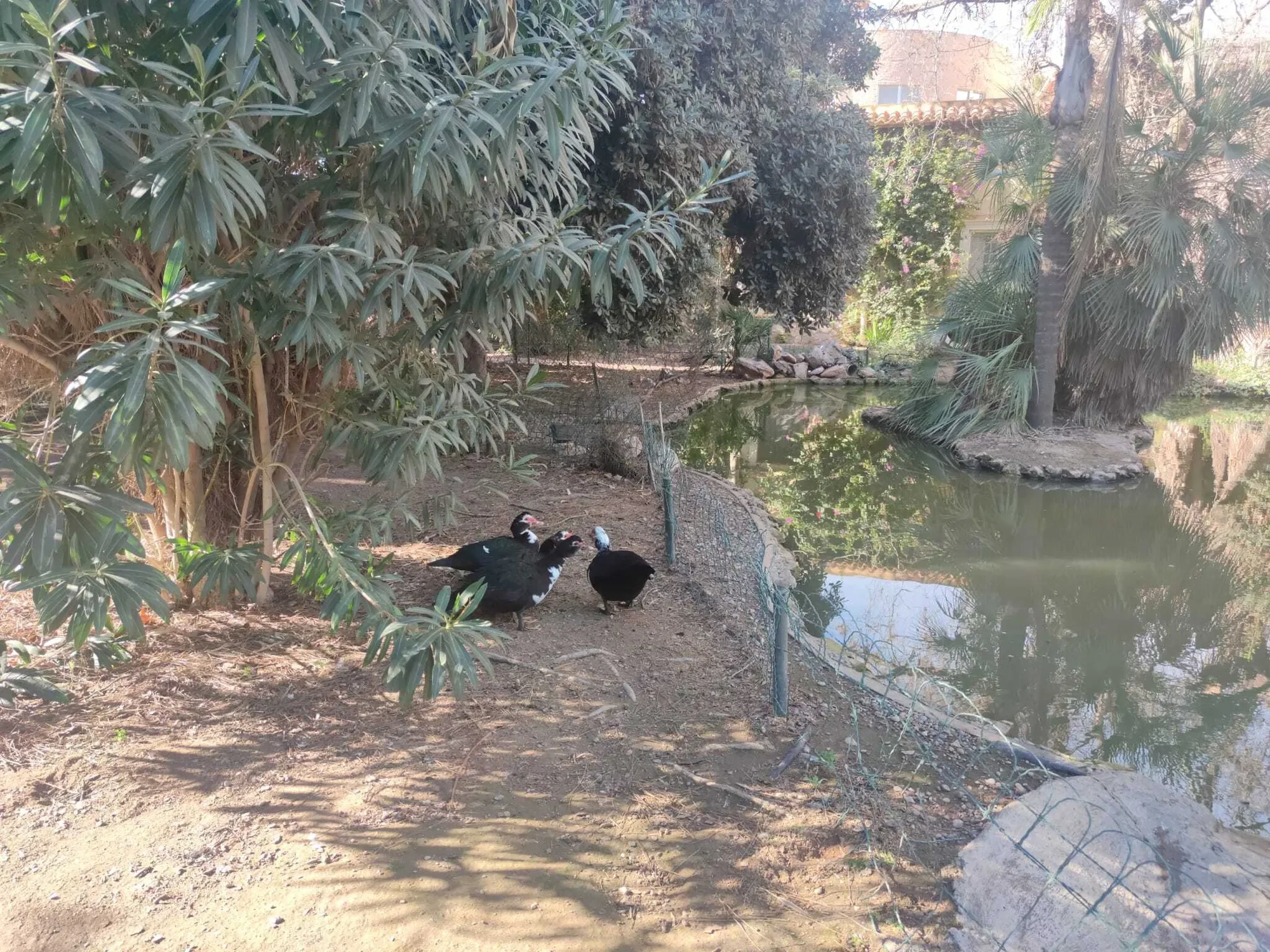 30740 San Pedro del Pinatar, Murcia, Spain, San Pedro del Pinatar, Region of Murcia, Spain. - Photo 14