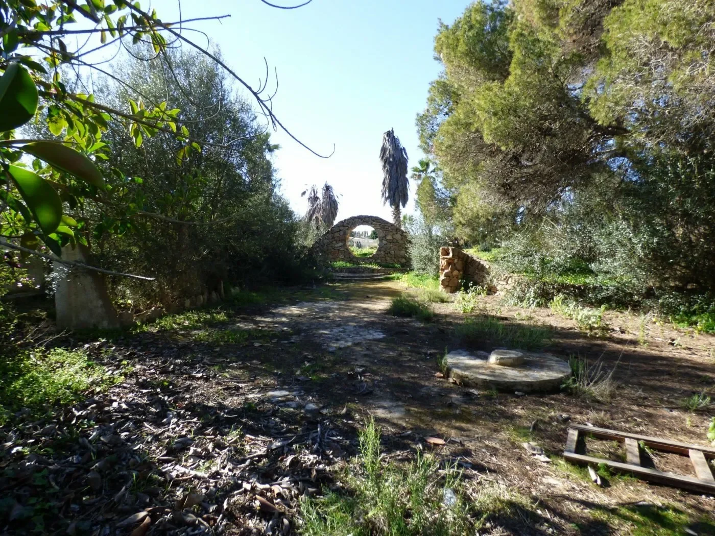 Sa Torre, Llucmajor, BALEARES, Llucmajor, Balearic Islands, Spain. - Photo 2