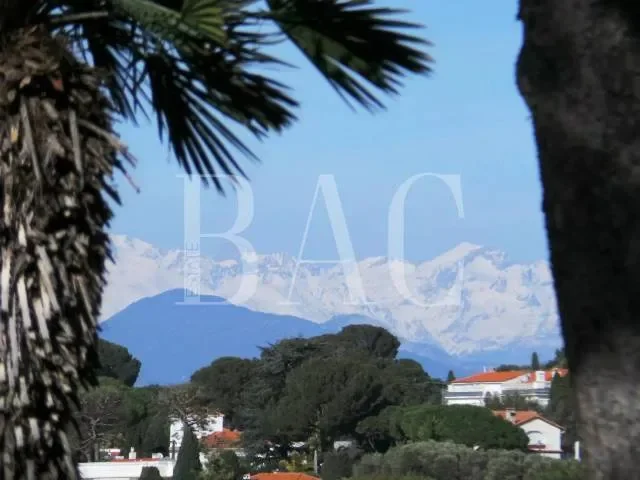 Antibes, Provence-Alpes-Côte d'Azur, France. - Photo 18