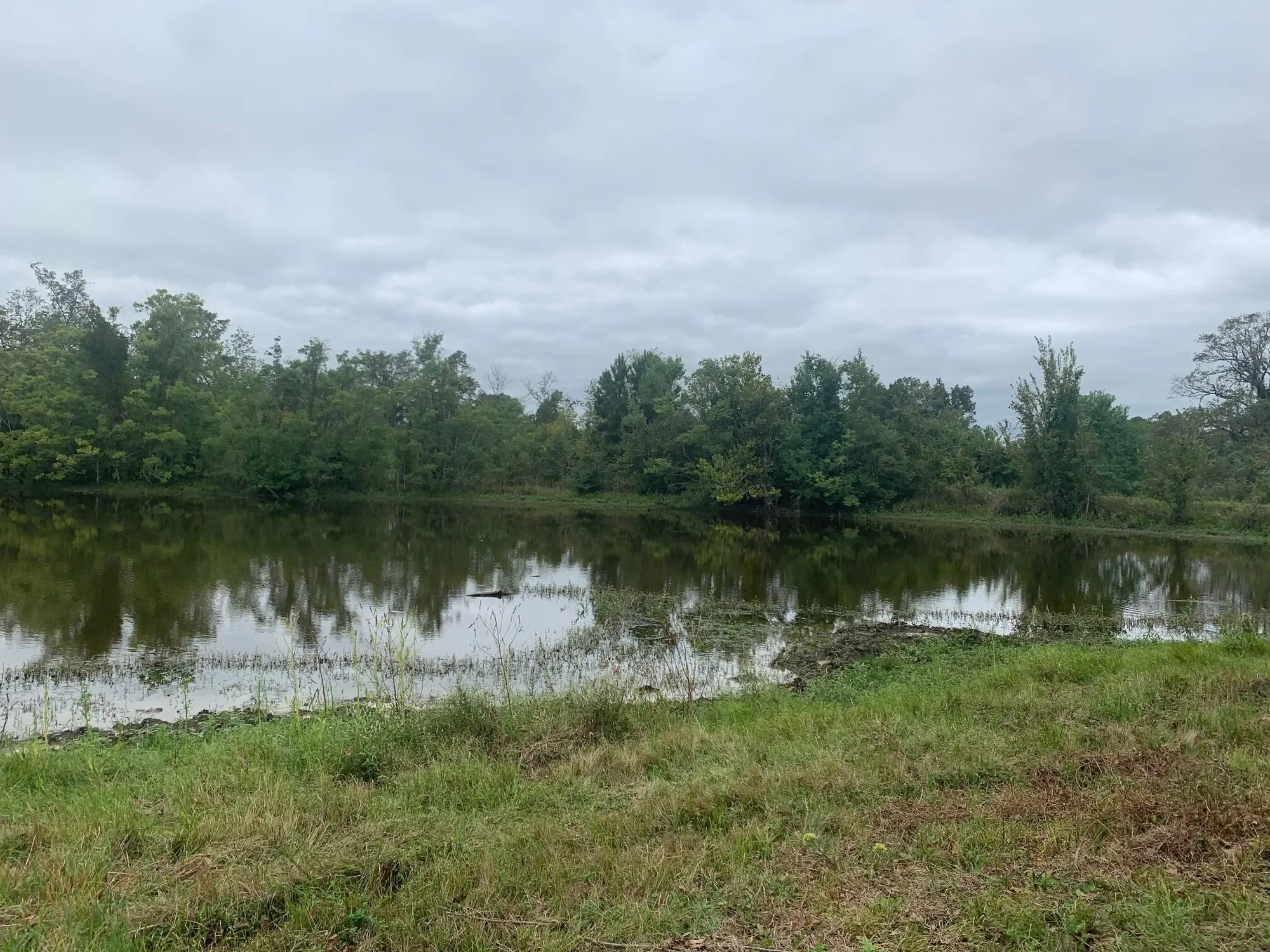 25572 Johnson Road, Montgomery, TX 77356, Montgomery, Texas, United States. - Hero Image