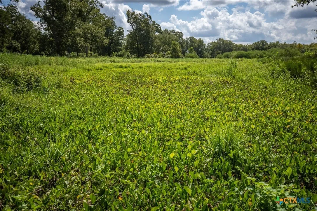 000 Fm 766, Cuero, TX 77954, Cuero, Texas, United States. - Photo 36