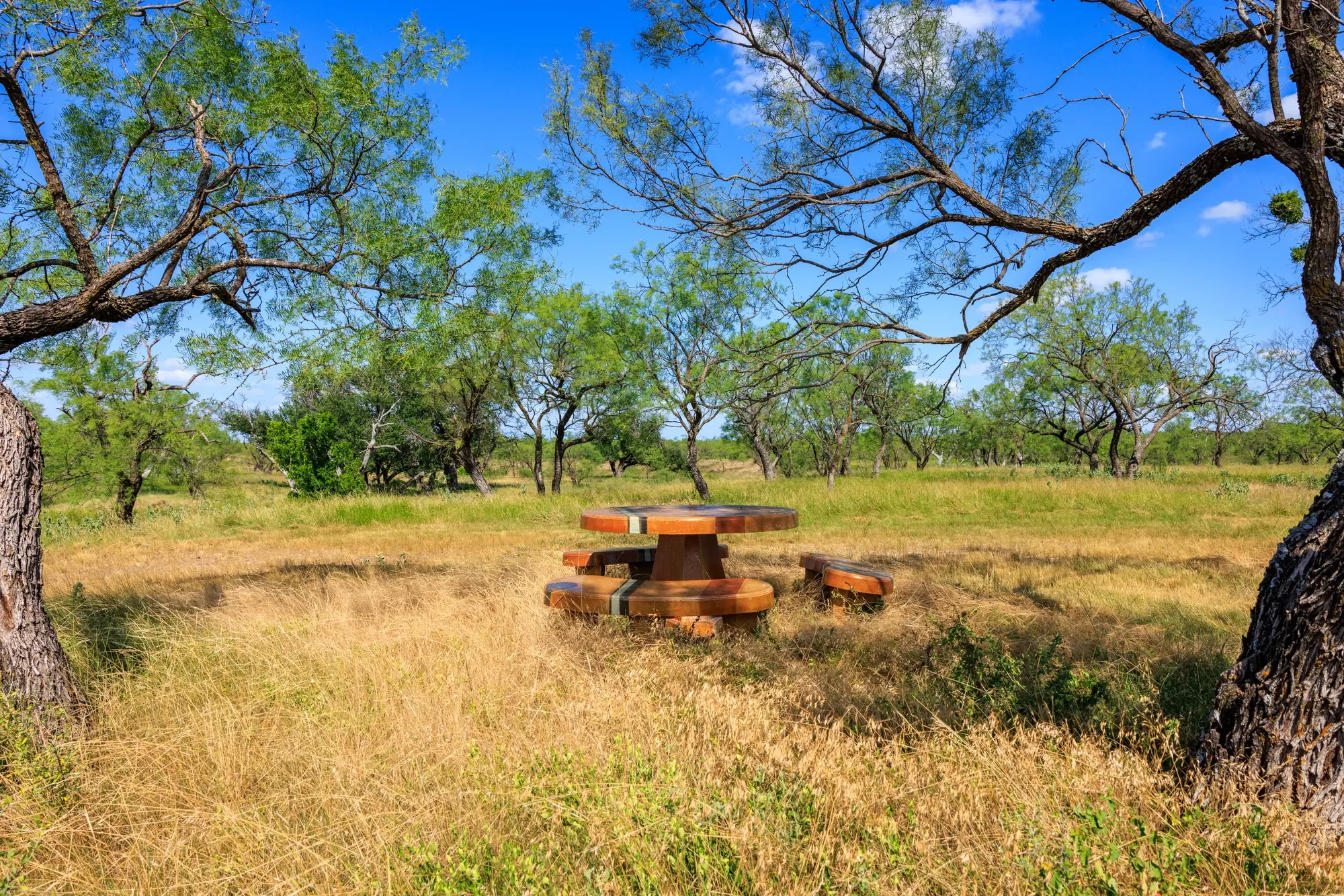 Brady Creek Ranch CR 3388, Melvin, TX 76858, Melvin, Texas, United States. - Photo 49