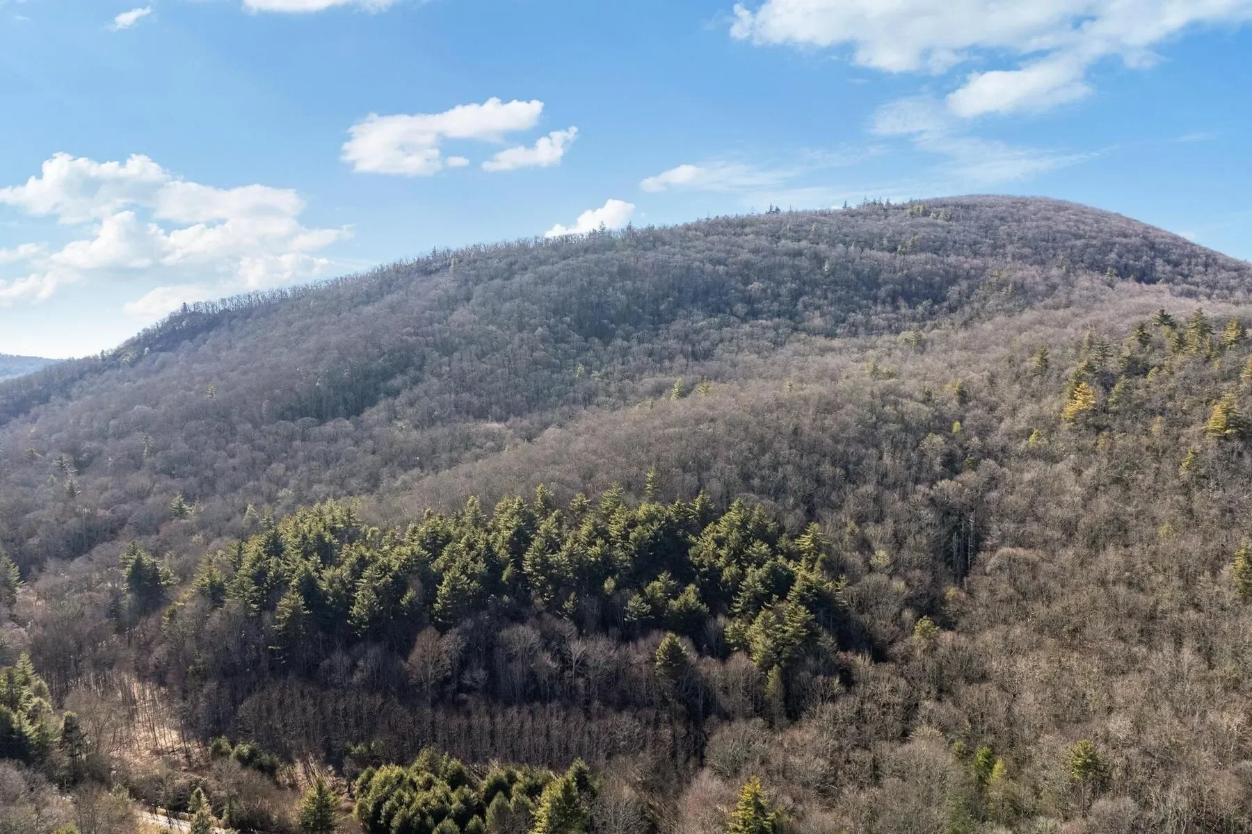 00 Off Zeb Buchanan Road, Cullowhee, NC 28723, Cullowhee, North Carolina, United States. - Photo 13