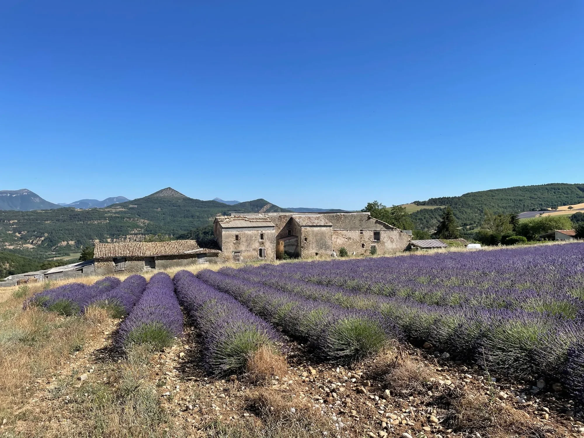Digne, Provence-Alpes-Côte d'Azur, France. - Photo 21