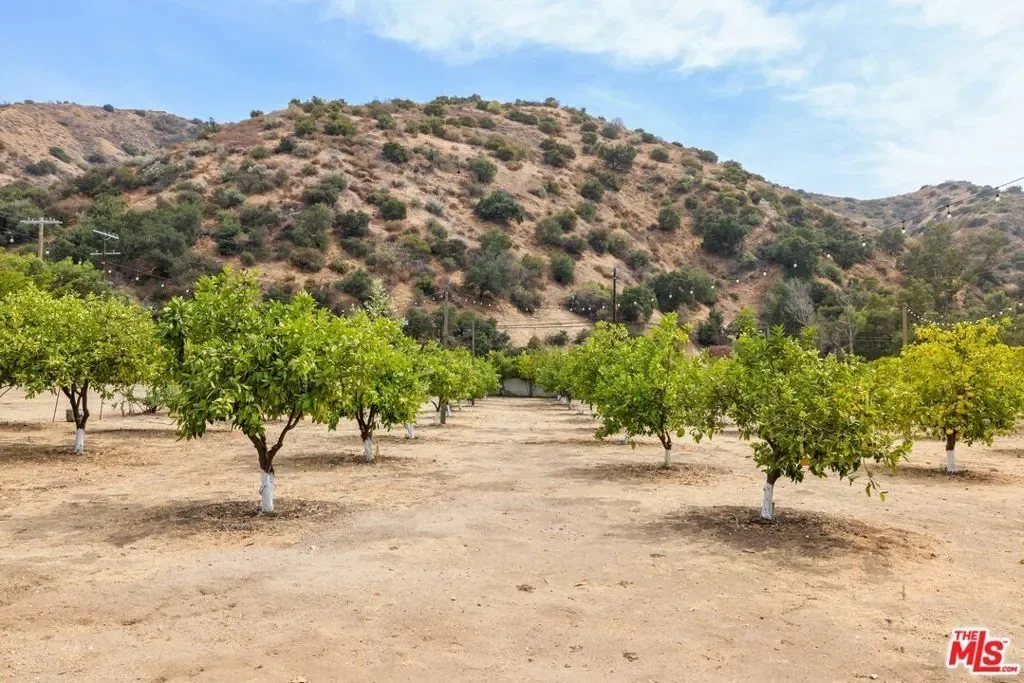 9145 La Tuna Canyon Road, Los Angeles, California, United States. - Photo 10
