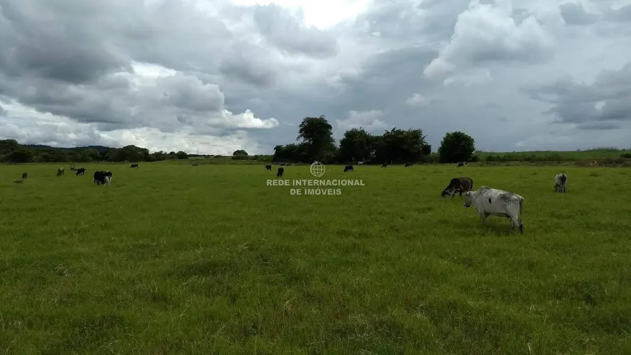 Oiapoque, State of Amapá, Brazil. - Photo 12