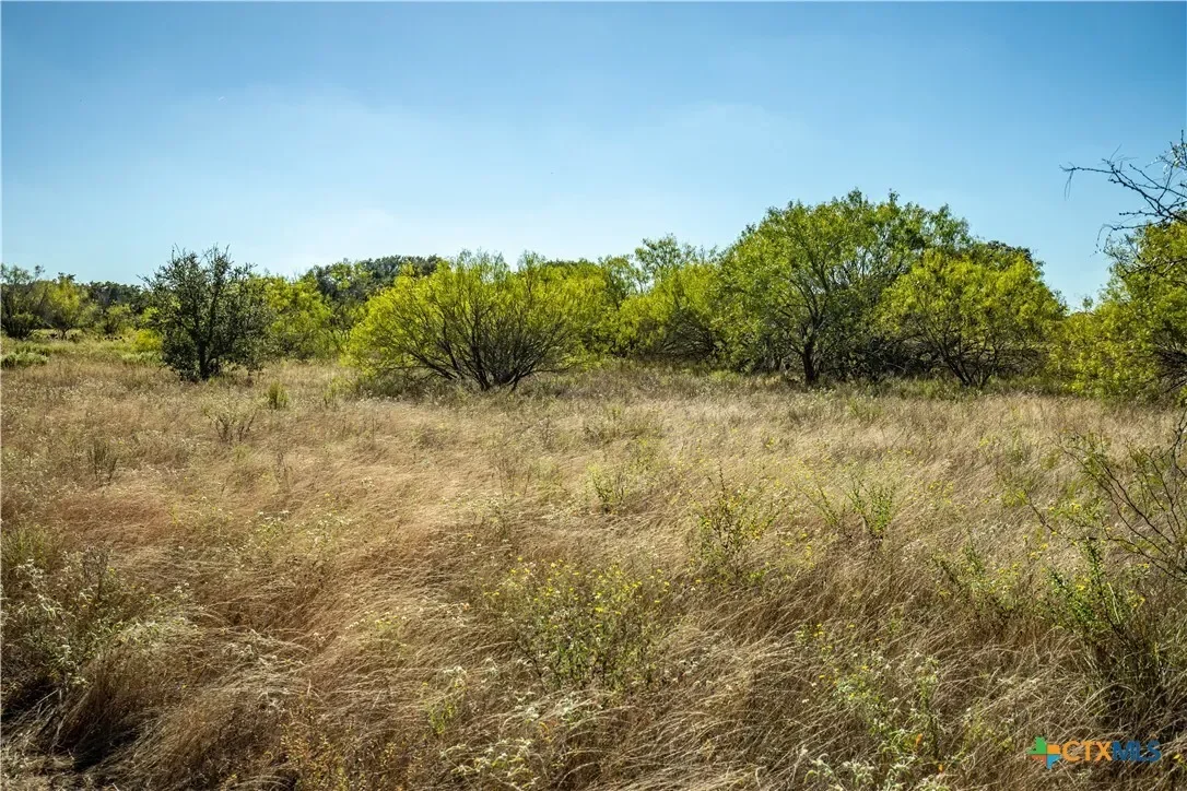 21123 Lamm Road, Elmendorf, TX 78112, Elmendorf, Texas, United States. - Photo 13