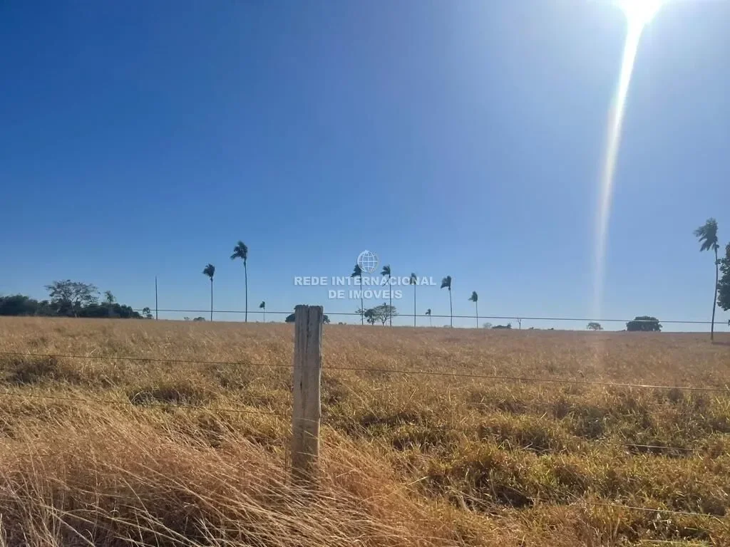 Farm municipality of São Miguel do Araguaia 827 alqueires Flat land, slight declines to low spring
