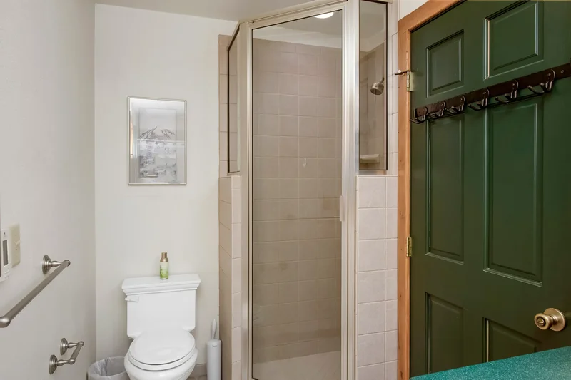 223 Sopris Avenue , Crested Butte, CO 81224, Crested Butte, Colorado, United States. - Photo 12