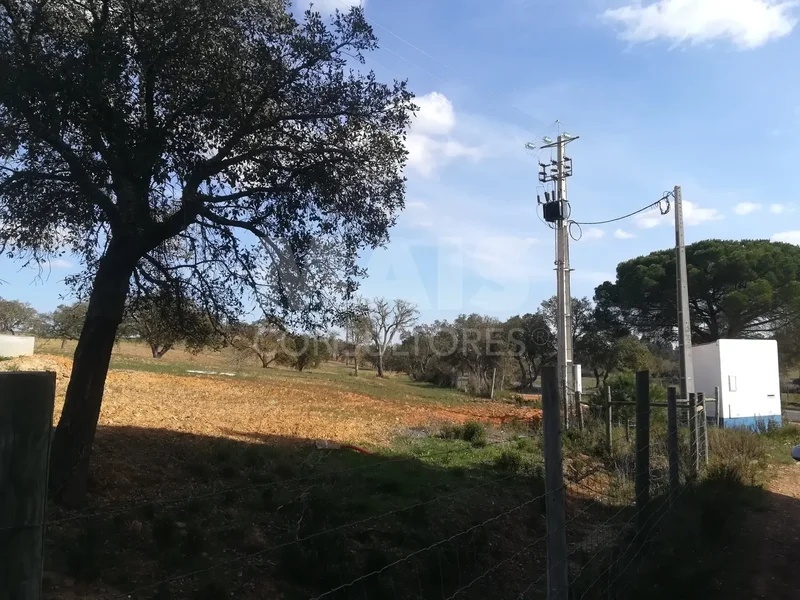 Abela, Setubal, Portugal. - Photo 6