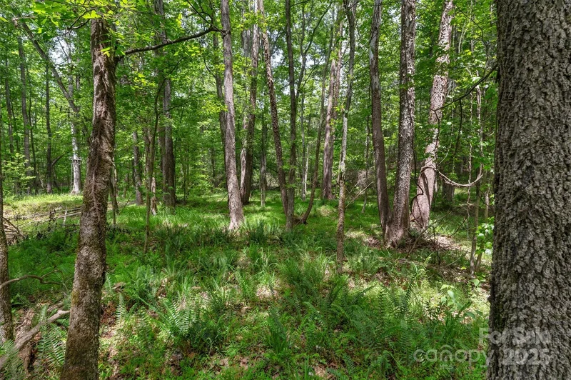 0000 Green Road, Lancaster, SC 29720, Lancaster, South Carolina, United States. - Photo 19