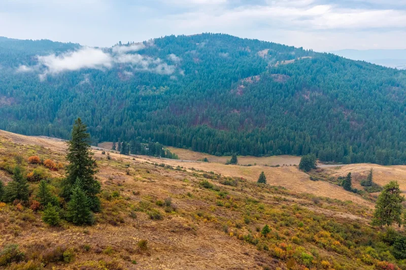 361 Lone Ranch Creek, Curlew, WA, 99121, USA, Danville, Washington, United States. - Photo 28